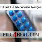 Pilules De Rhinocéros Rouges viagra1